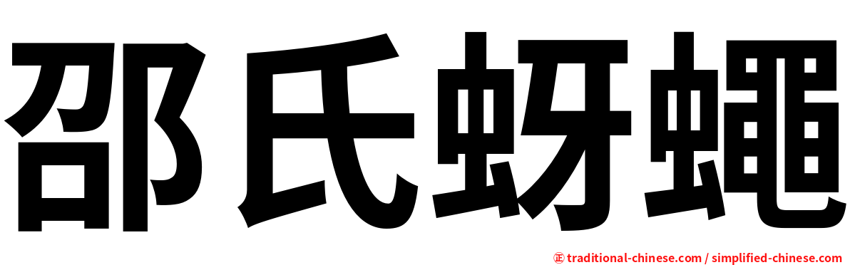 邵氏蚜蠅