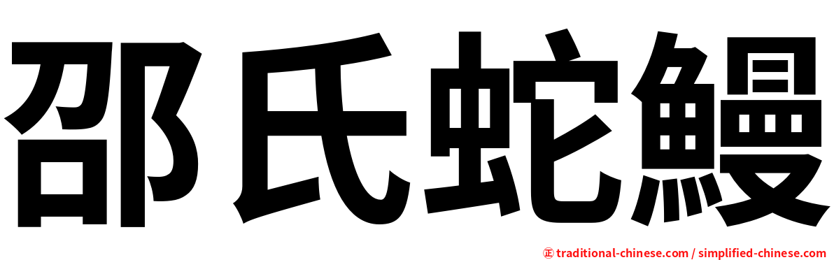 邵氏蛇鰻