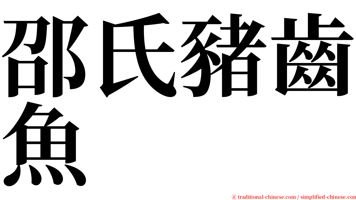 邵氏豬齒魚 serif font