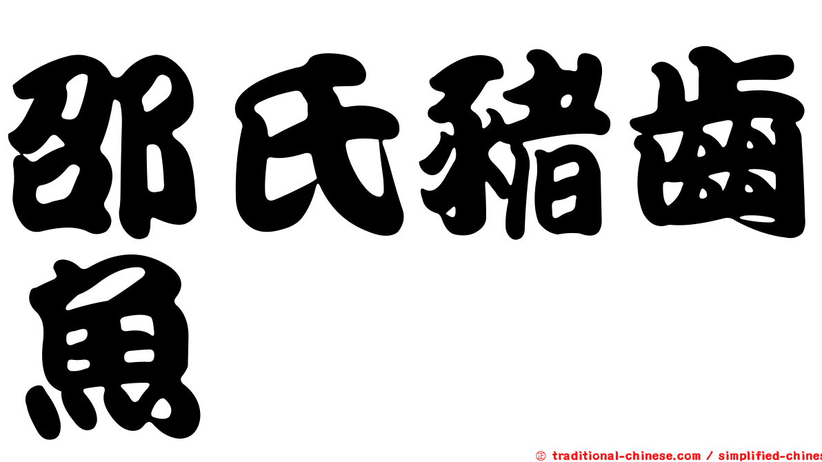 邵氏豬齒魚
