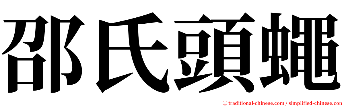 邵氏頭蠅 serif font