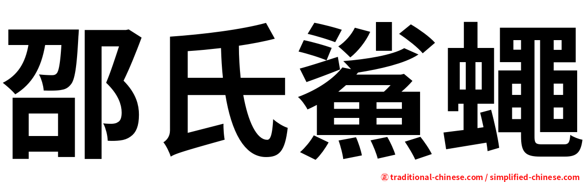 邵氏鯊蠅