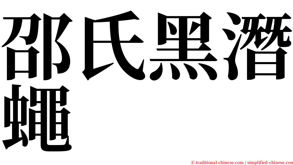 邵氏黑潛蠅 serif font