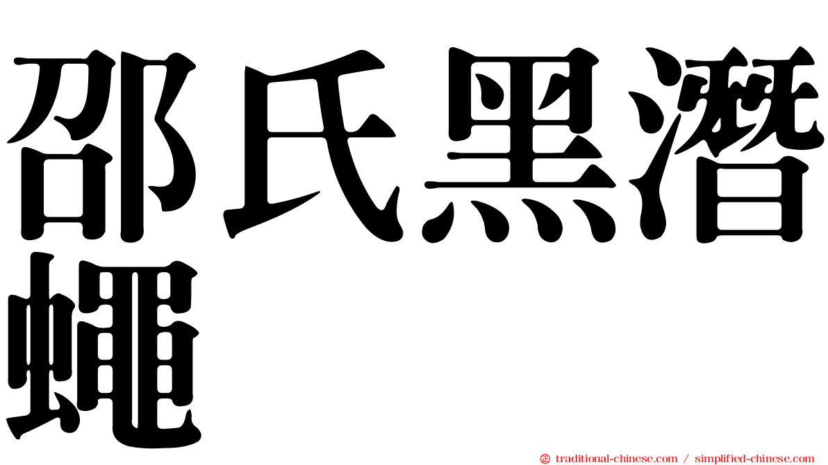 邵氏黑潛蠅