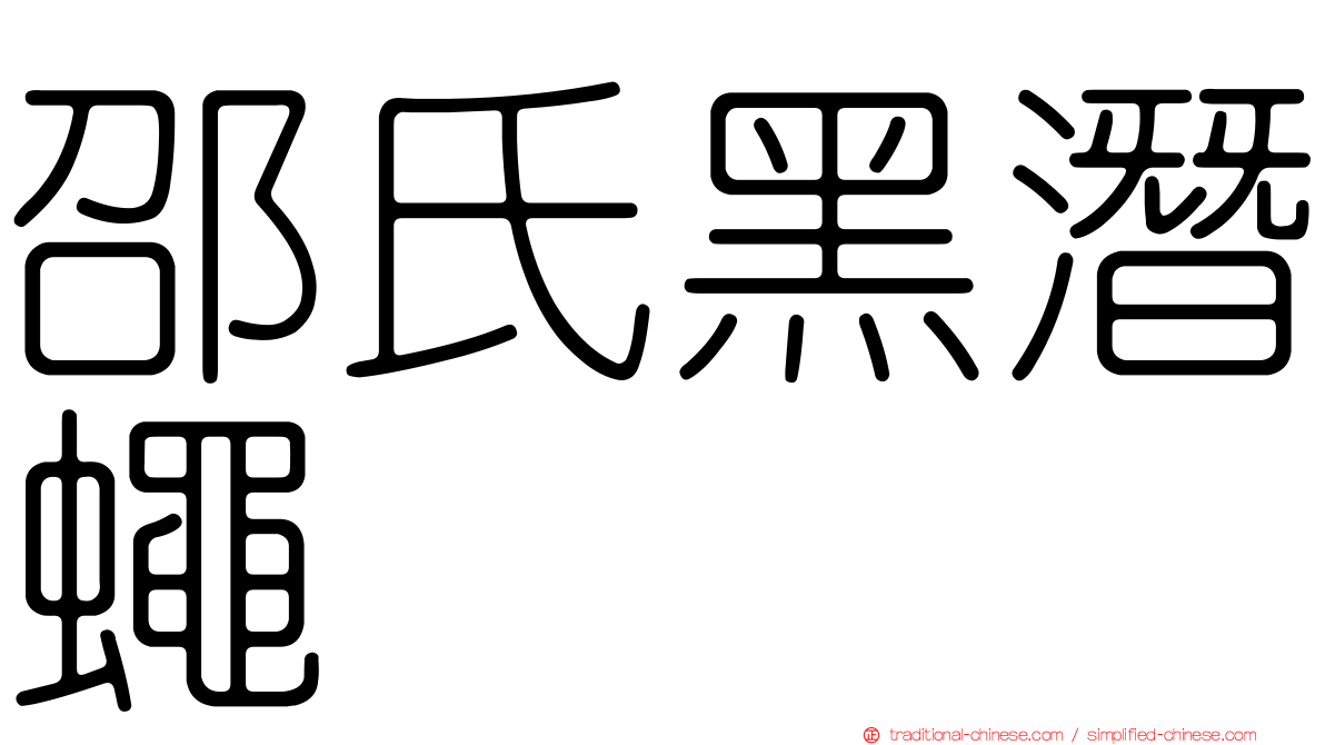 邵氏黑潛蠅