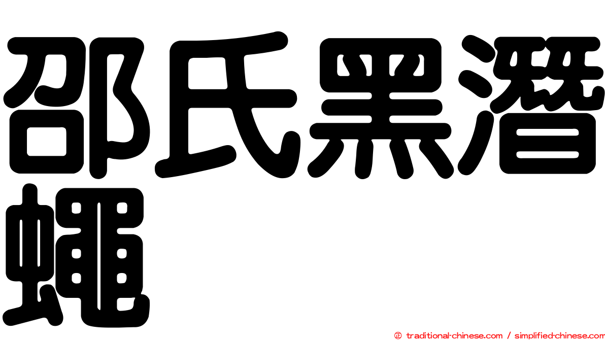 邵氏黑潛蠅