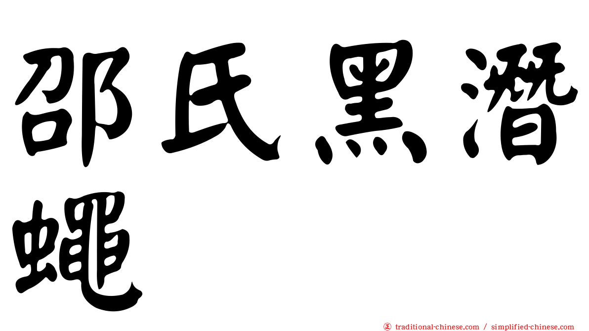 邵氏黑潛蠅