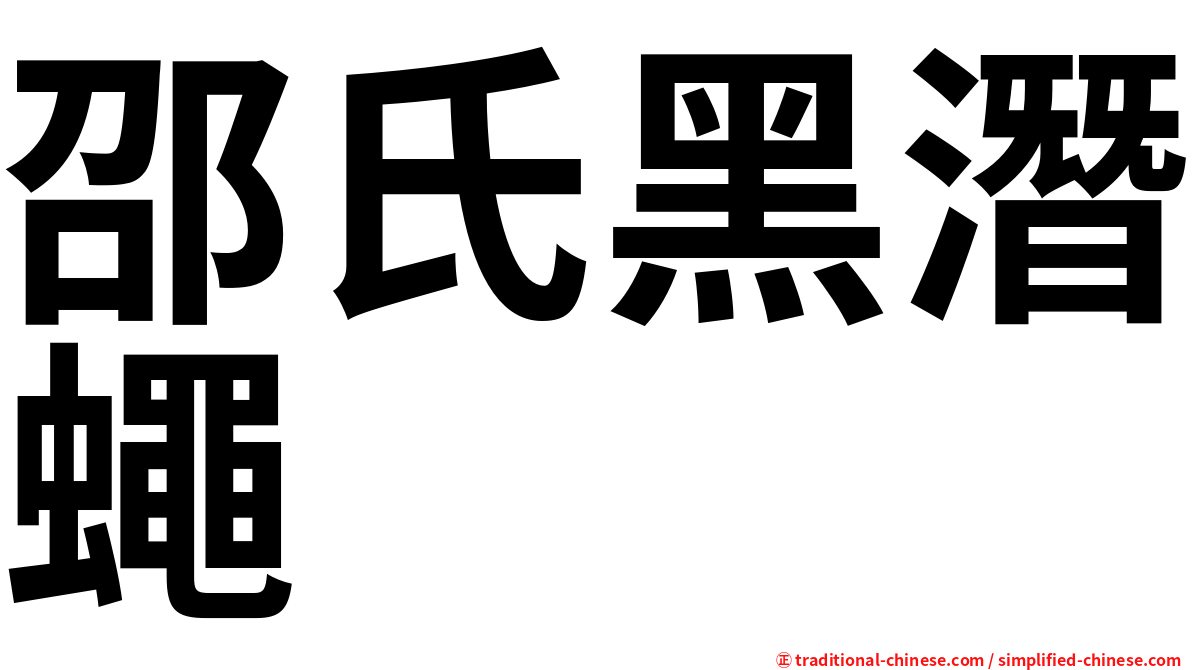 邵氏黑潛蠅