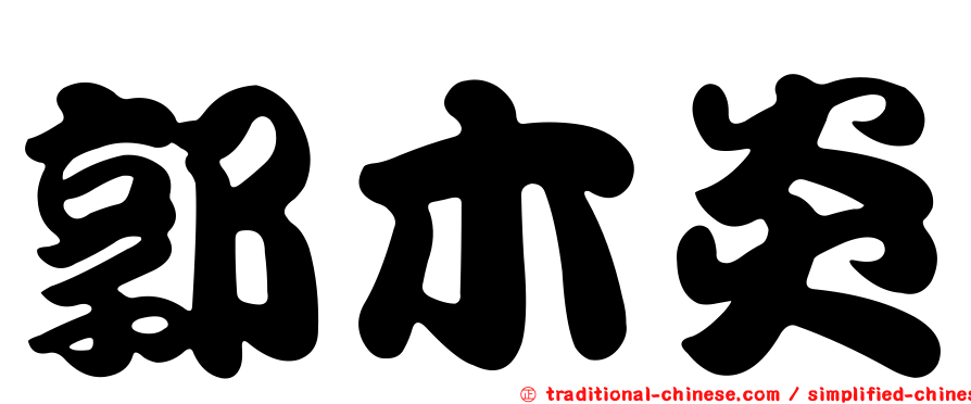 郭木炎