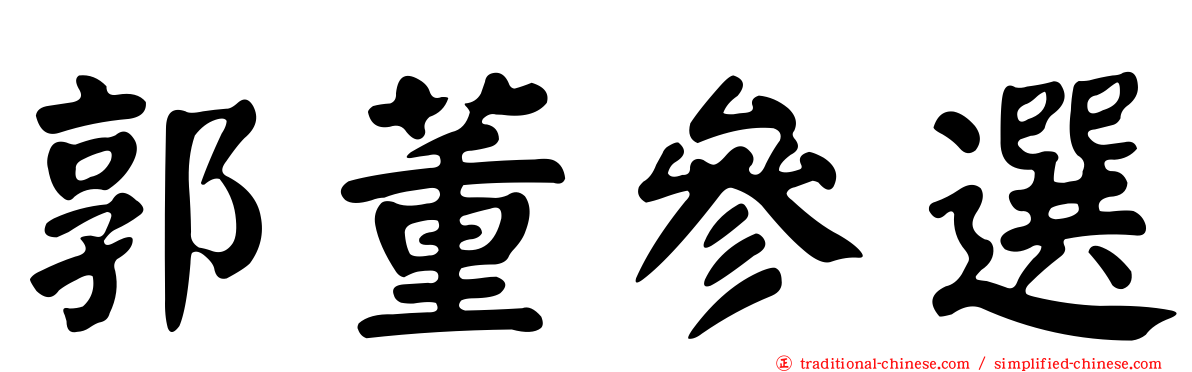 郭董參選
