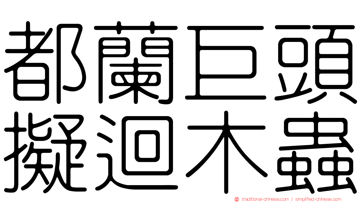 都蘭巨頭擬迴木蟲