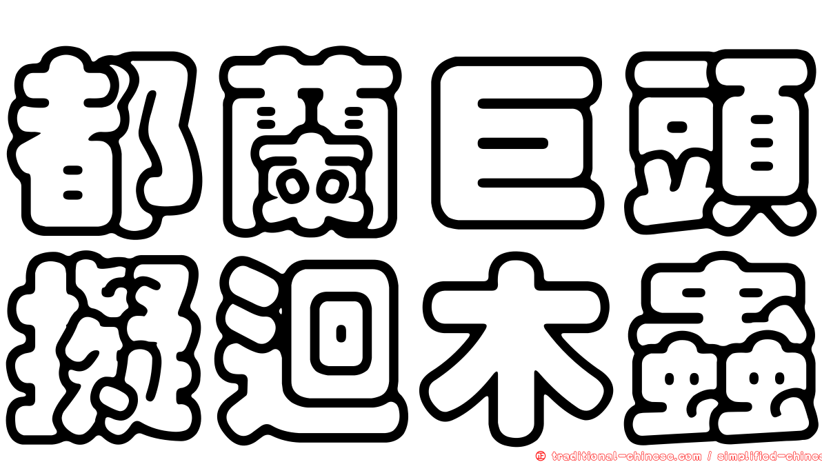 都蘭巨頭擬迴木蟲