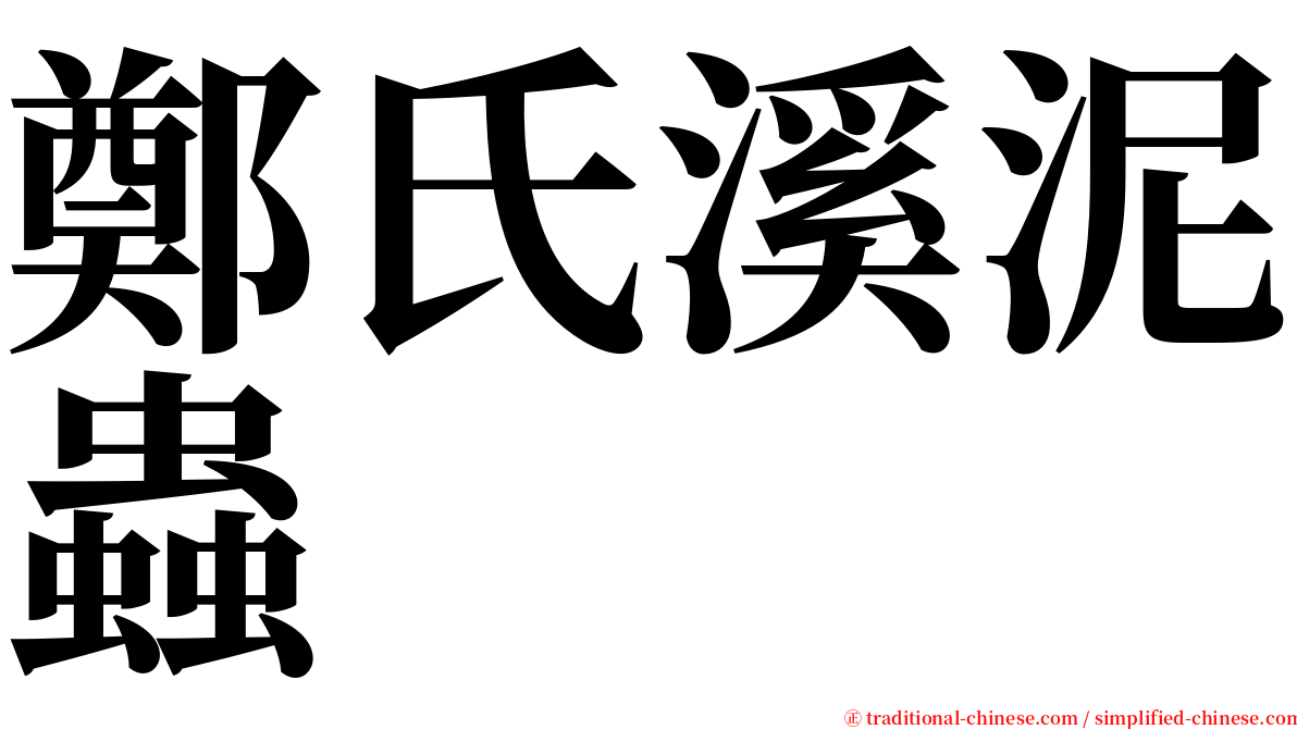 鄭氏溪泥蟲 serif font