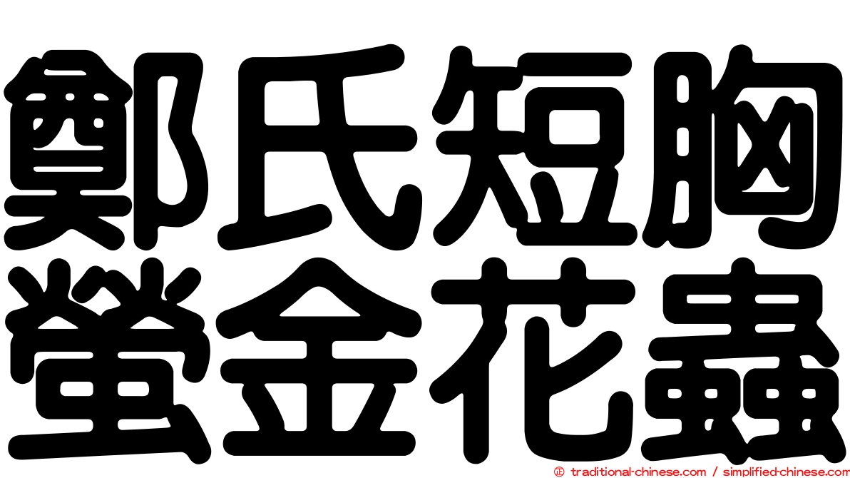鄭氏短胸螢金花蟲