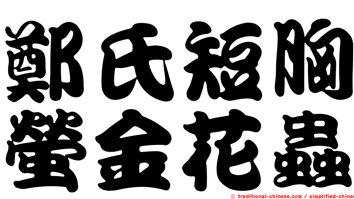鄭氏短胸螢金花蟲