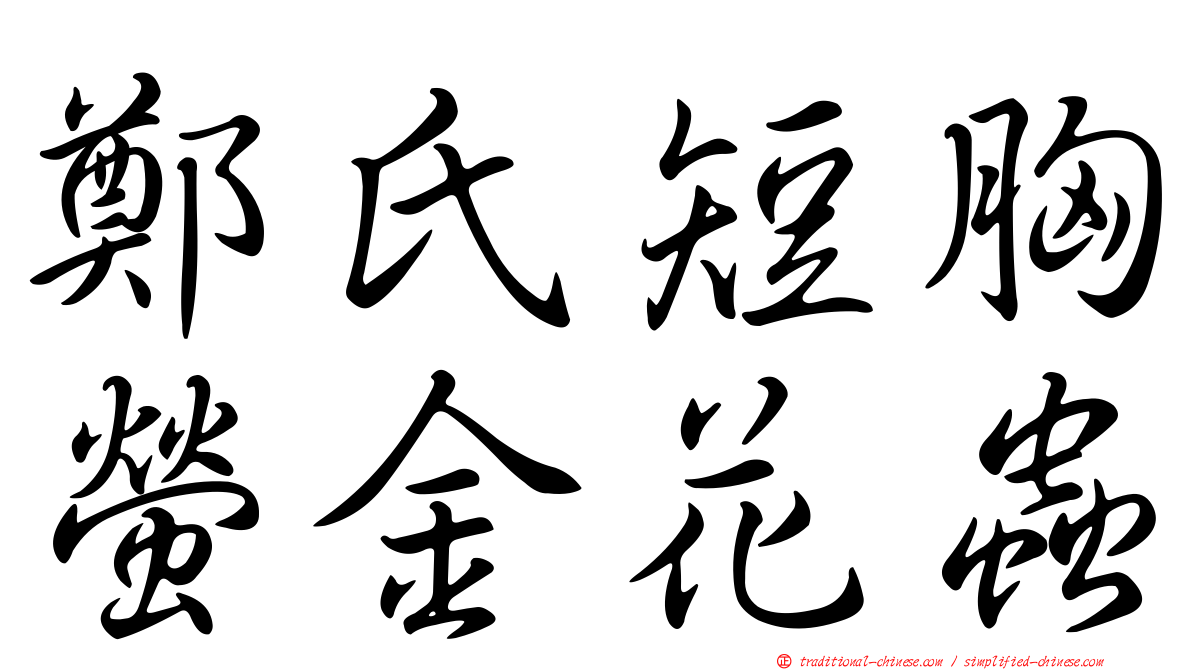 鄭氏短胸螢金花蟲