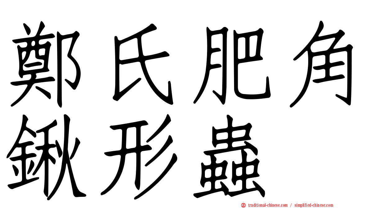 鄭氏肥角鍬形蟲