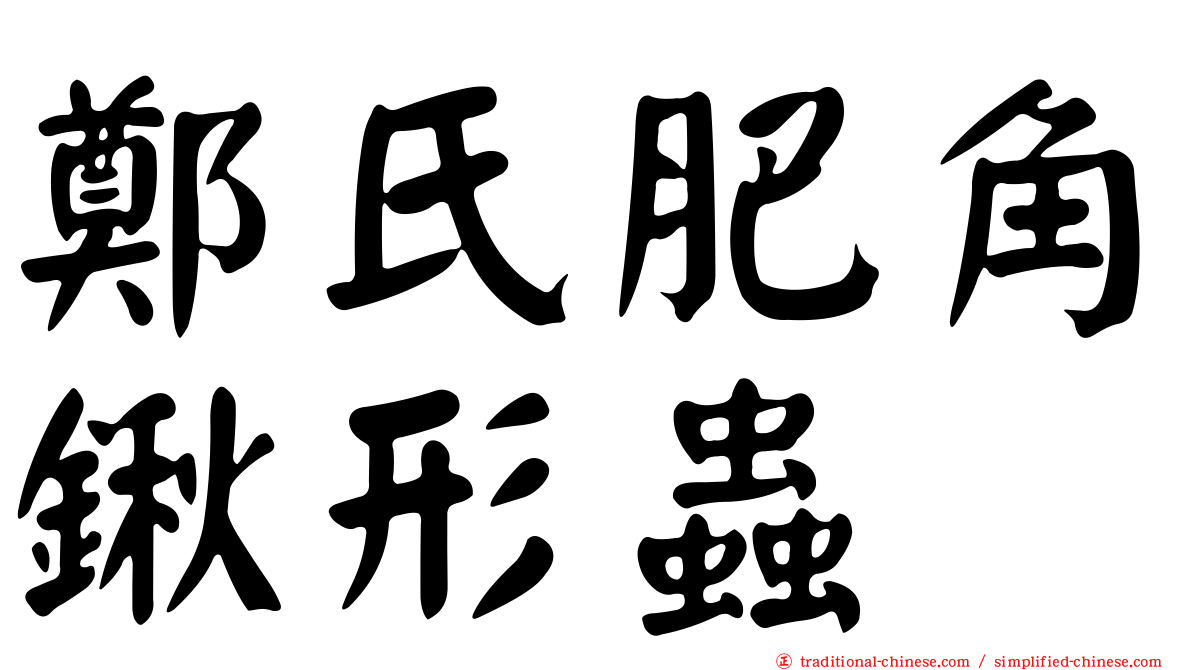 鄭氏肥角鍬形蟲