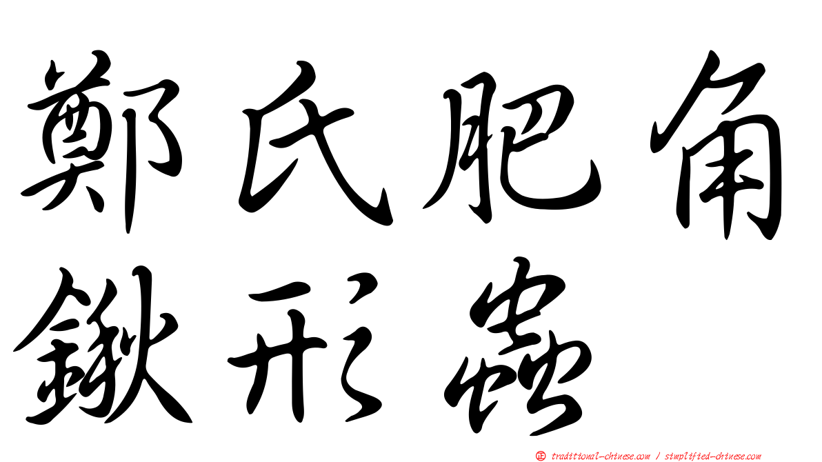 鄭氏肥角鍬形蟲