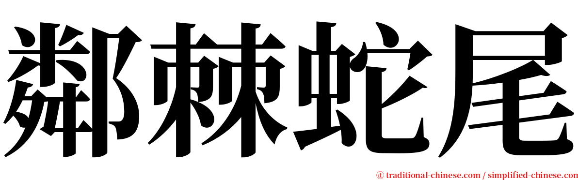 鄰棘蛇尾 serif font