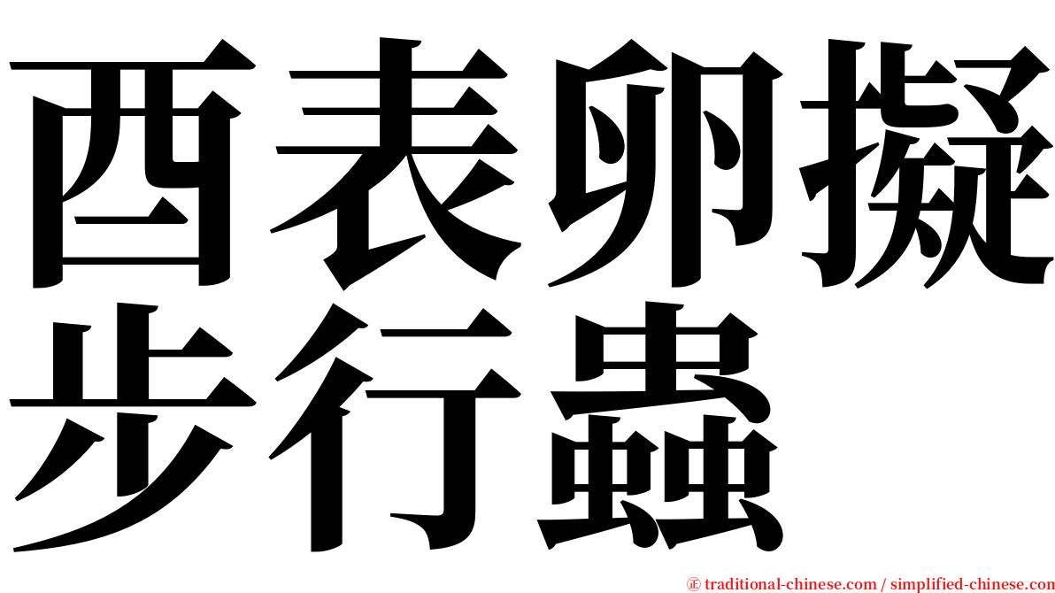 酉表卵擬步行蟲 serif font