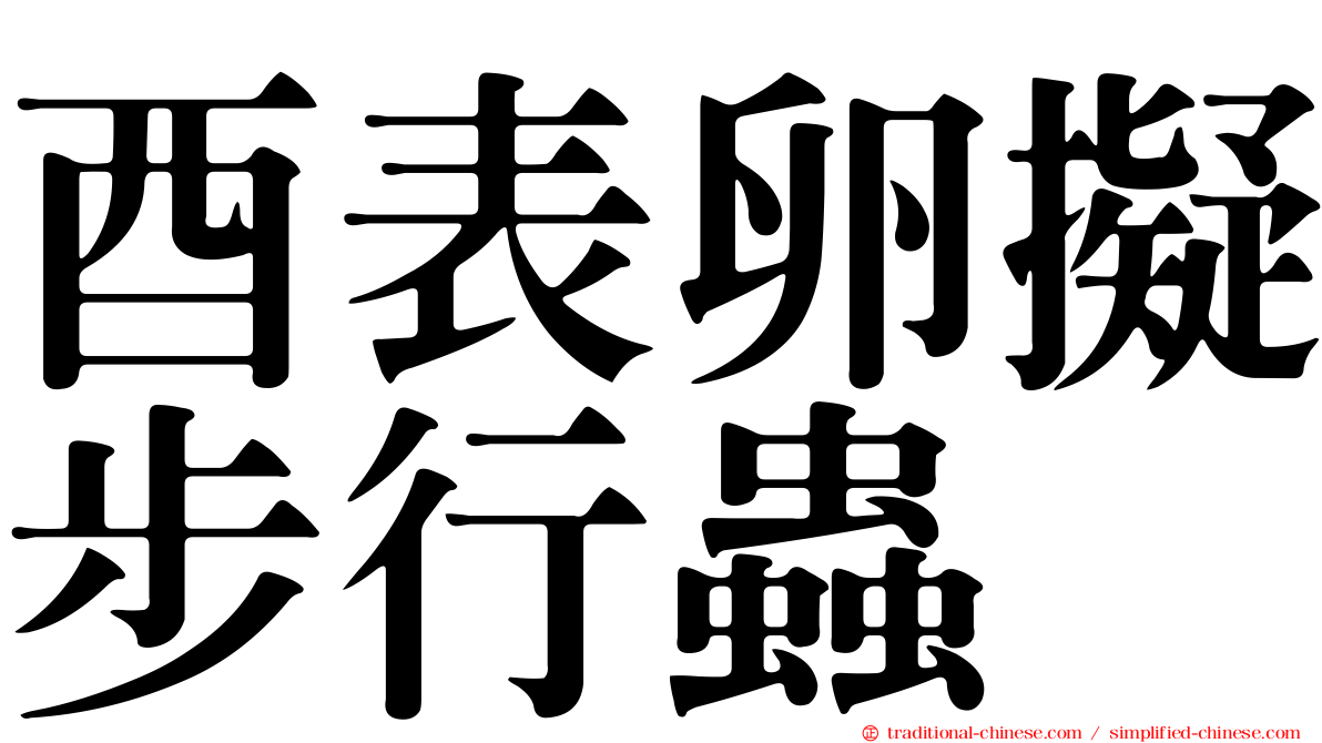 酉表卵擬步行蟲