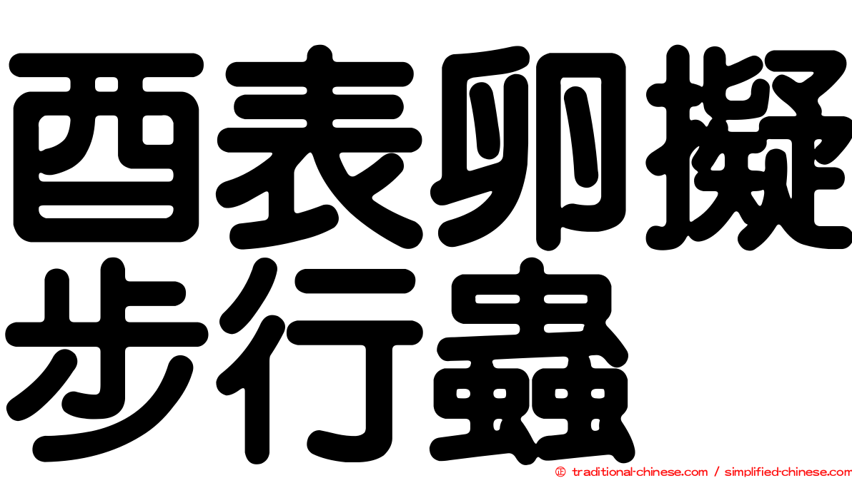 酉表卵擬步行蟲