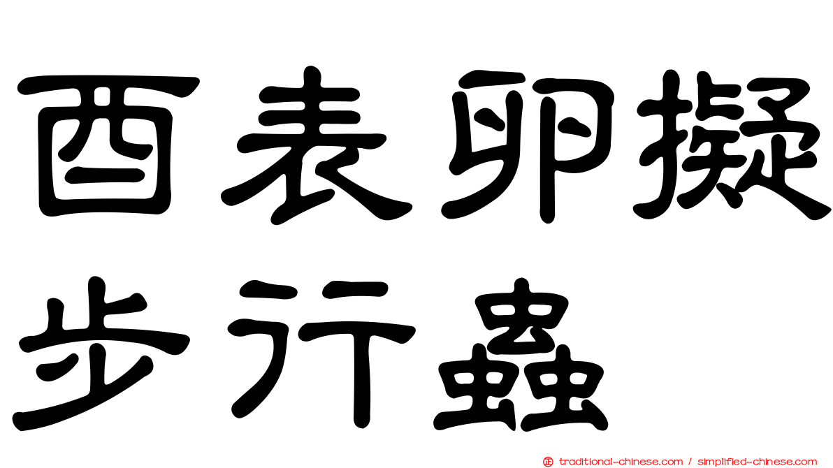 酉表卵擬步行蟲