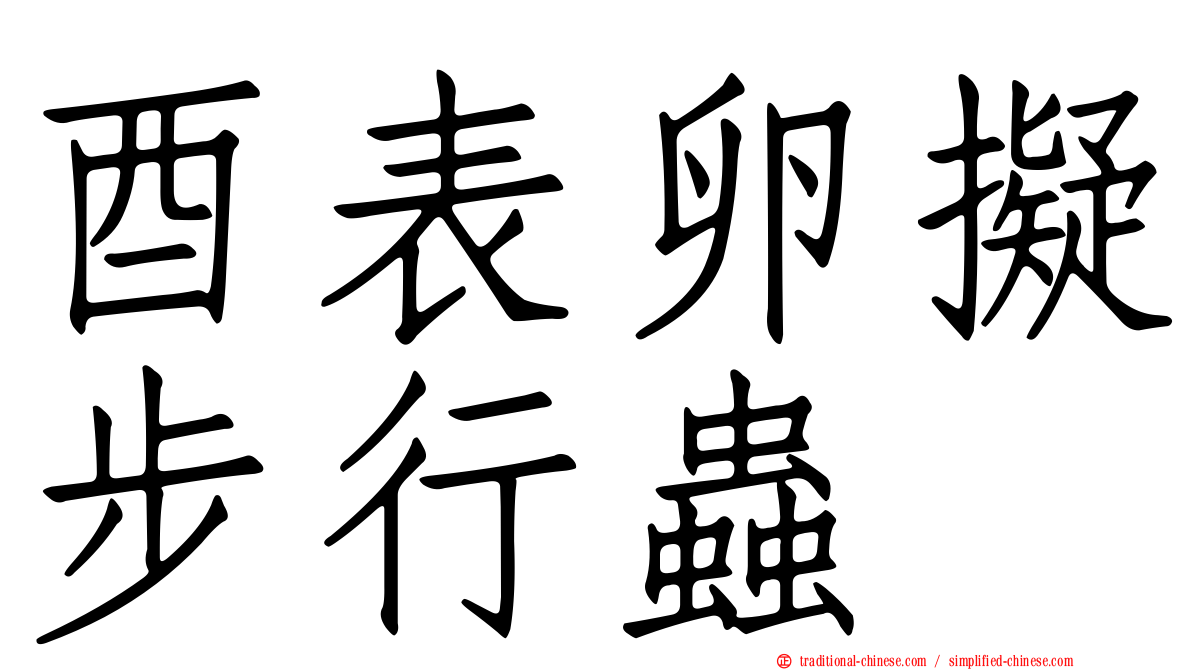 酉表卵擬步行蟲