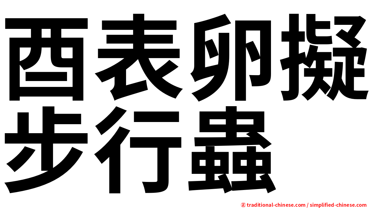 酉表卵擬步行蟲