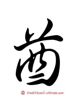 酋