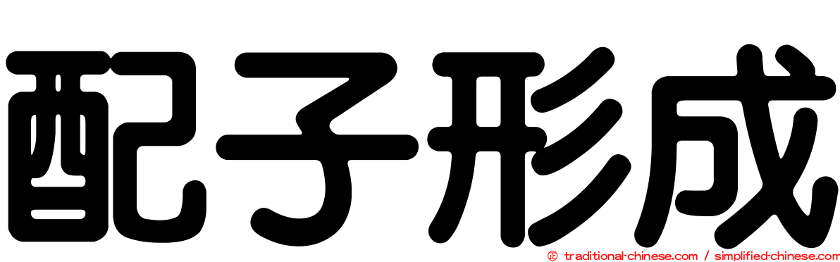 配子形成