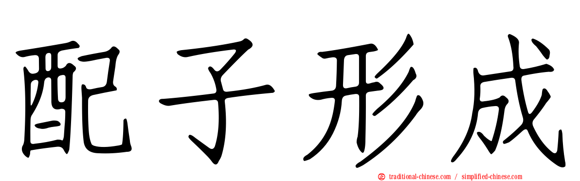 配子形成