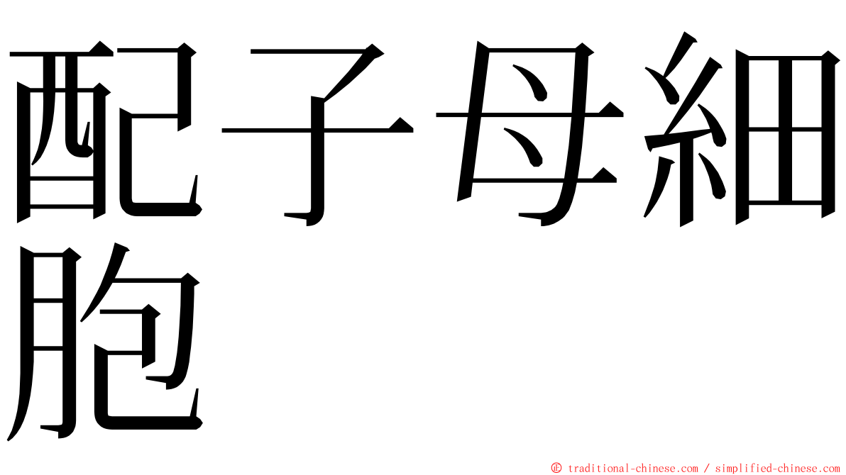 配子母細胞 ming font