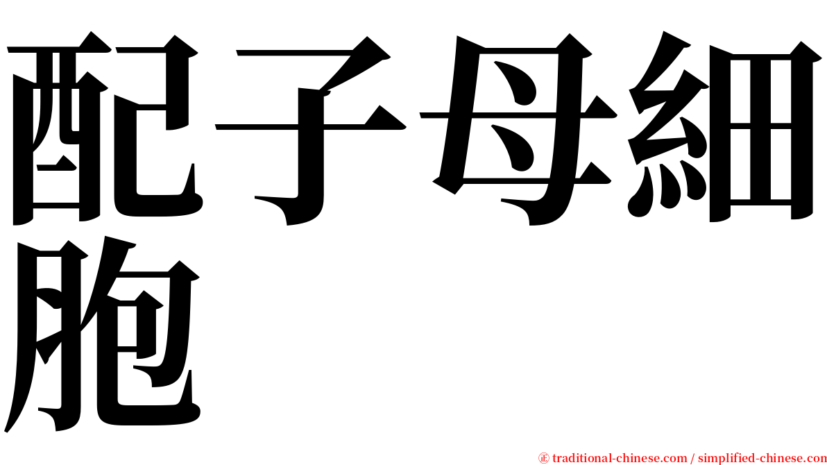 配子母細胞 serif font