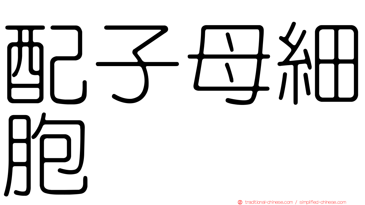 配子母細胞