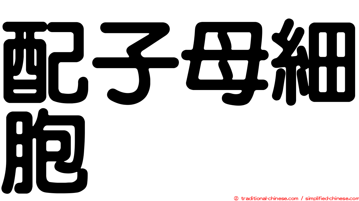 配子母細胞