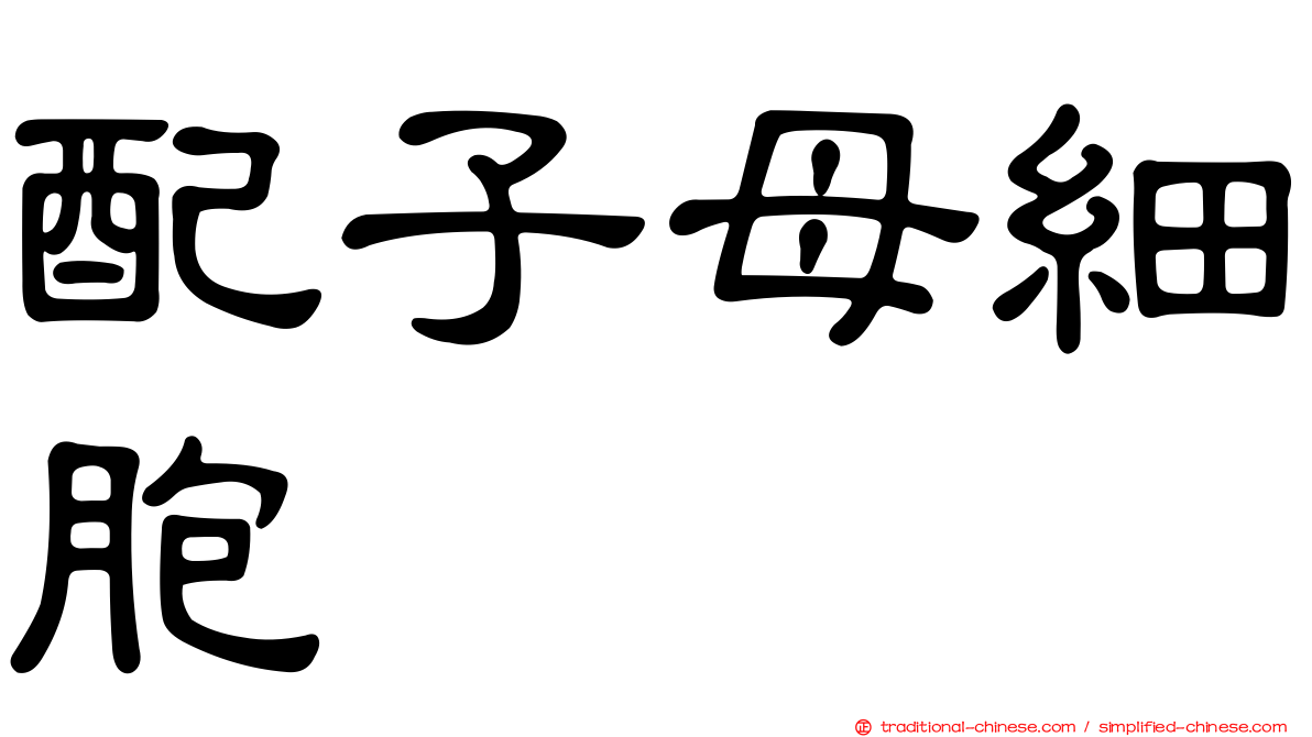 配子母細胞