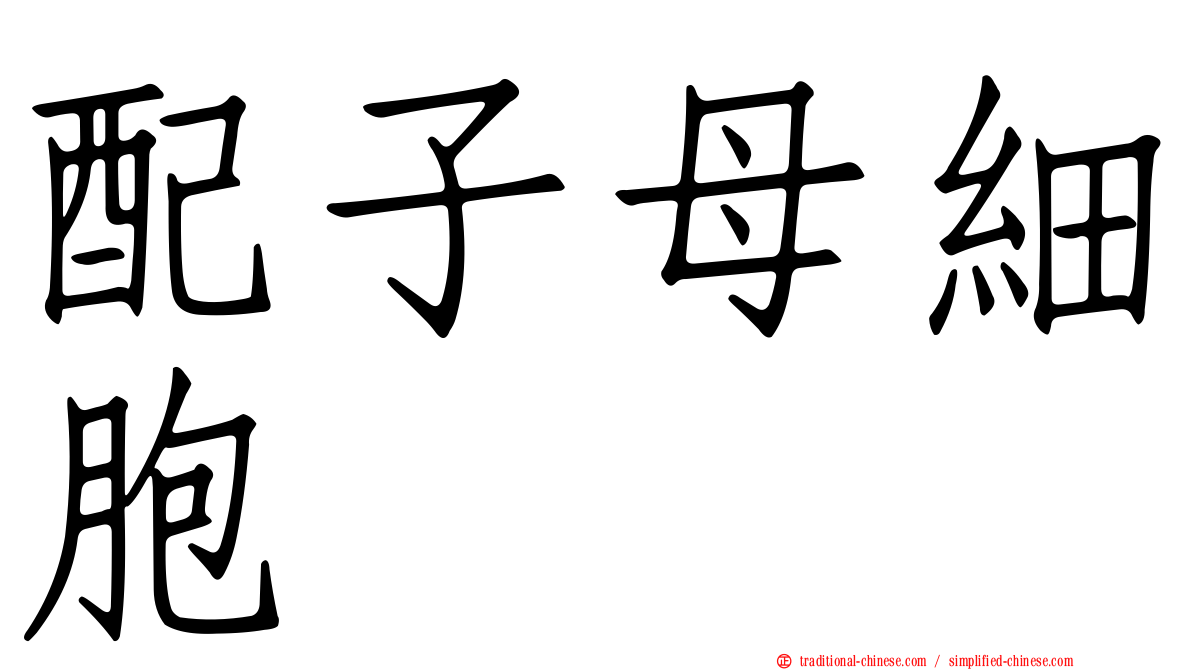配子母細胞