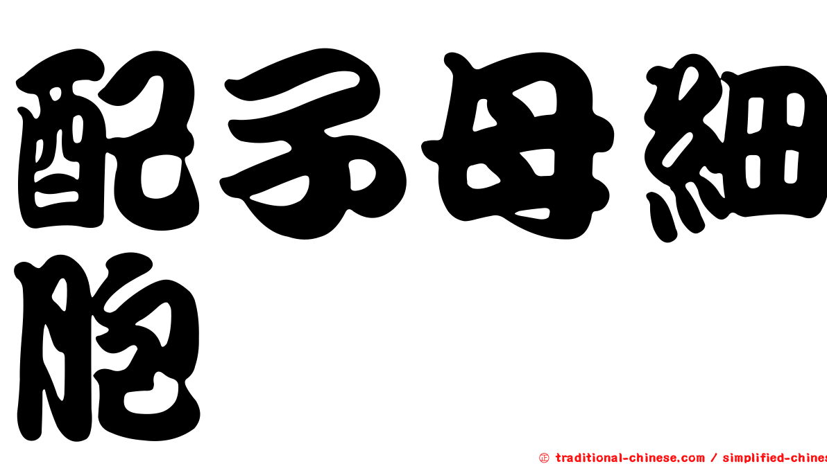 配子母細胞