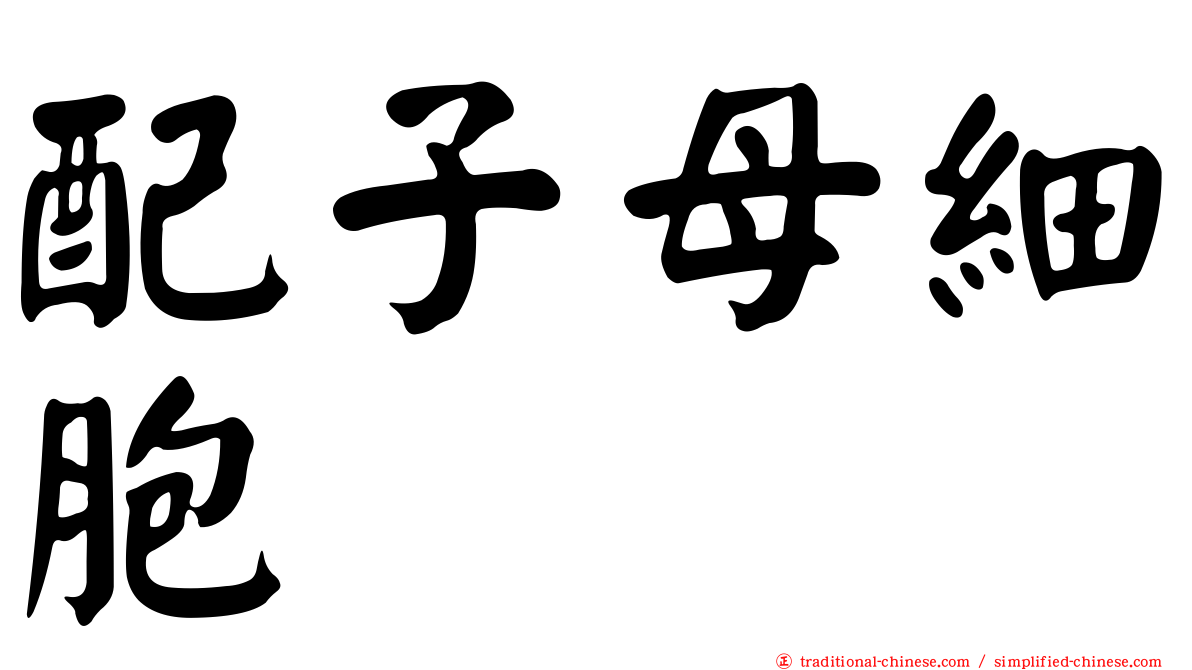 配子母細胞