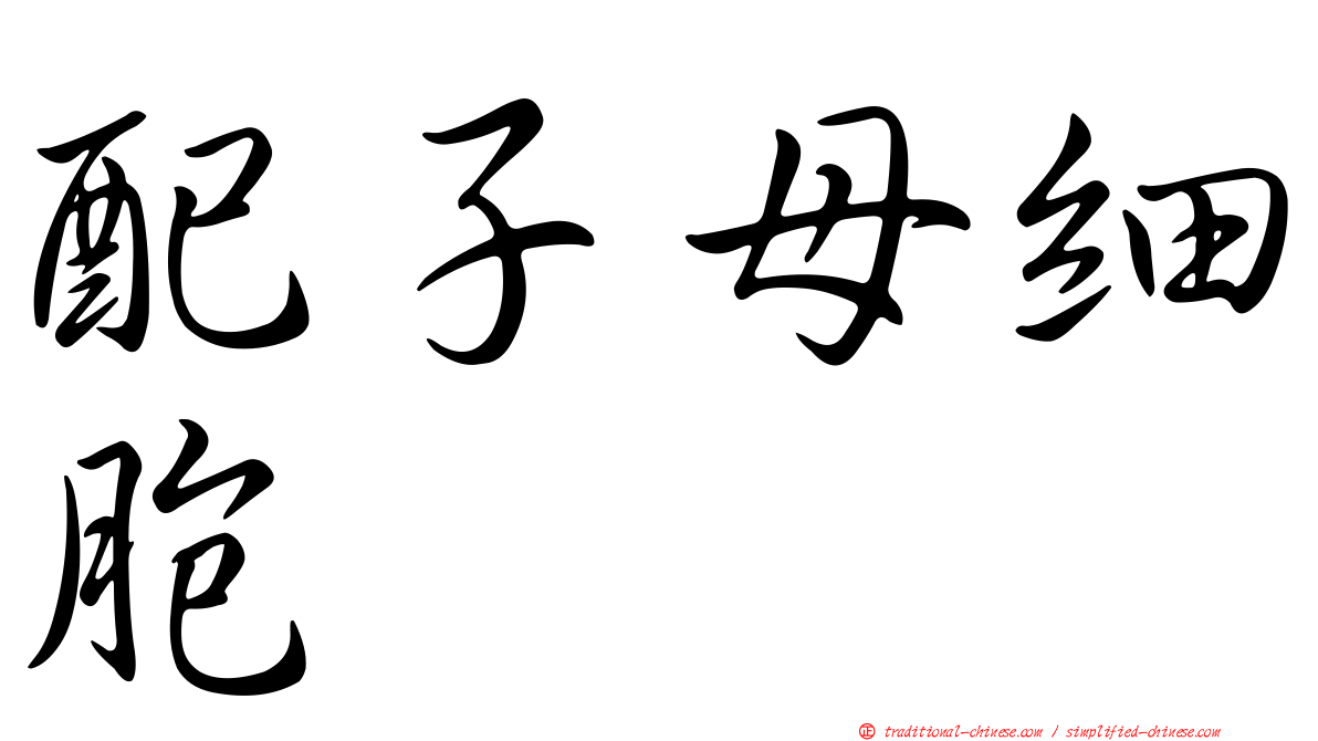 配子母細胞