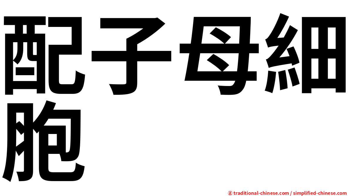配子母細胞