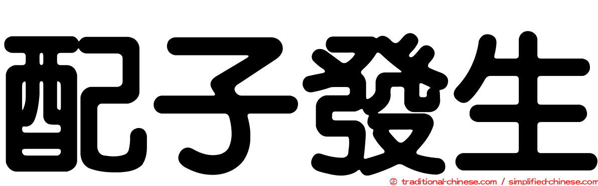 配子發生