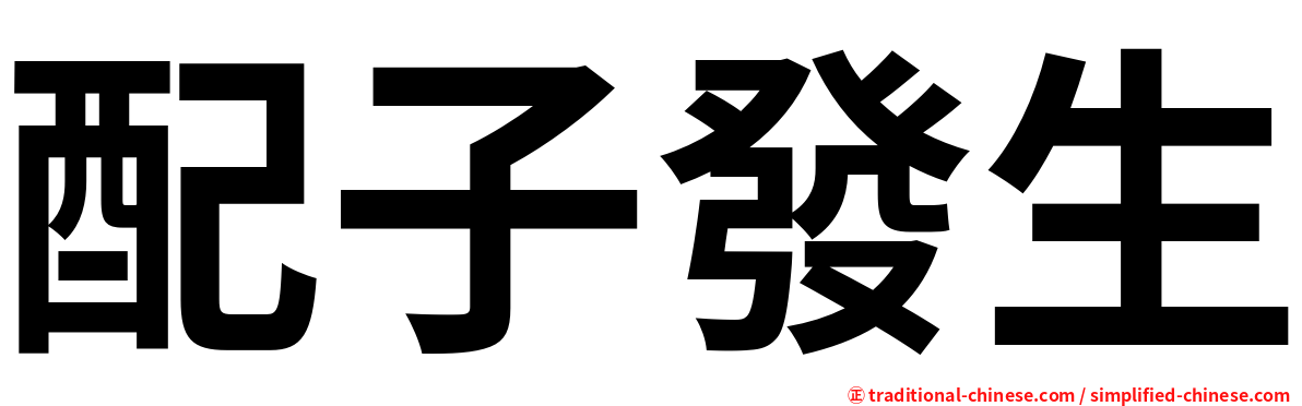 配子發生
