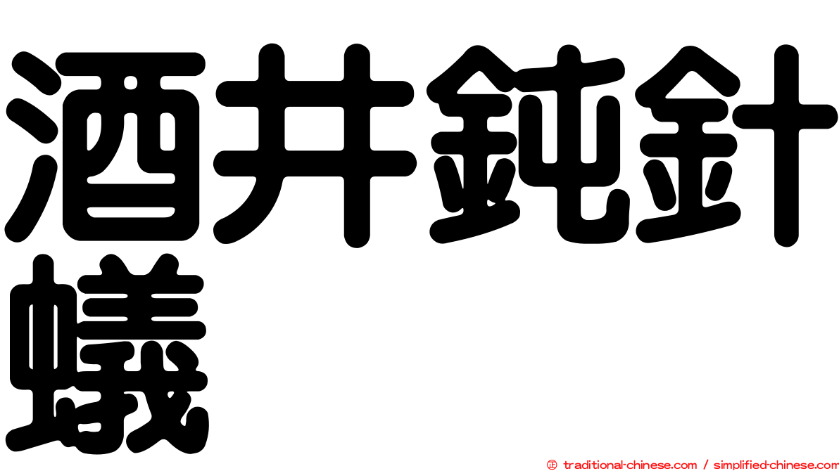 酒井鈍針蟻