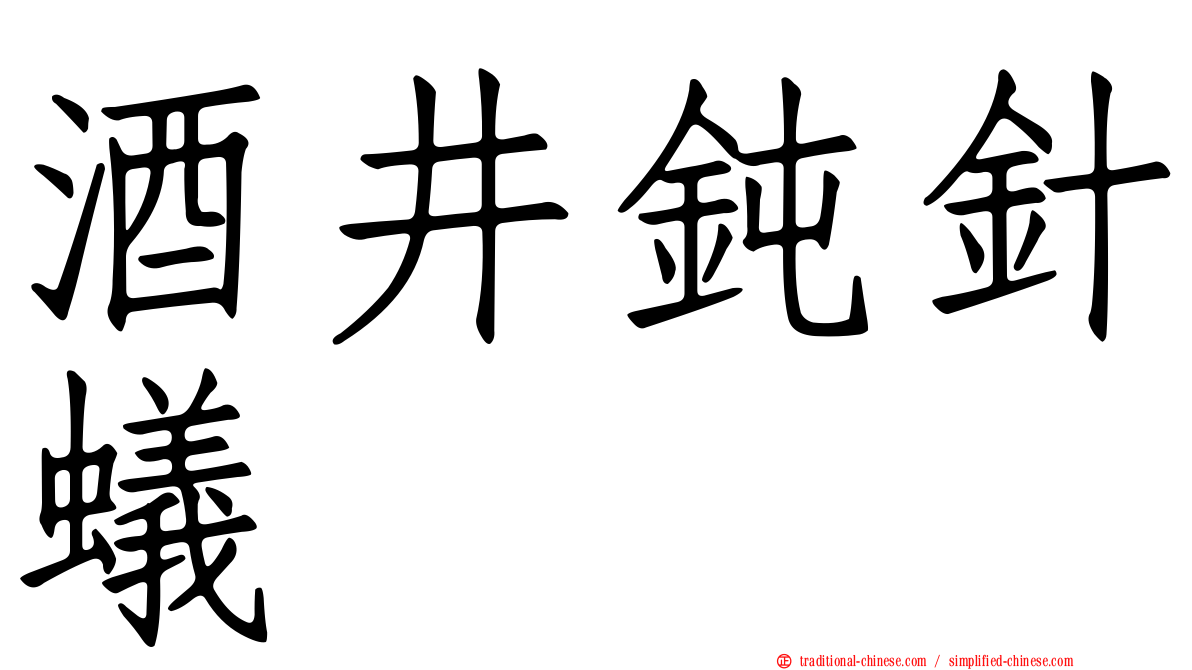 酒井鈍針蟻
