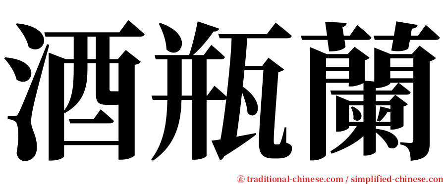 酒瓶蘭 serif font