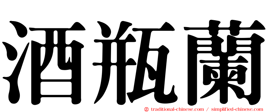 酒瓶蘭