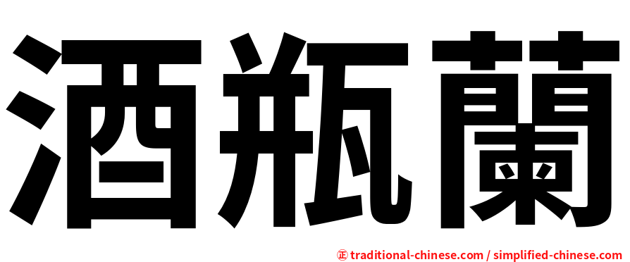 酒瓶蘭